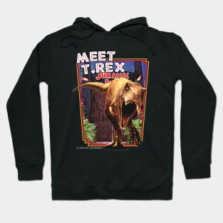 Meet the T. Rex! Hoodie